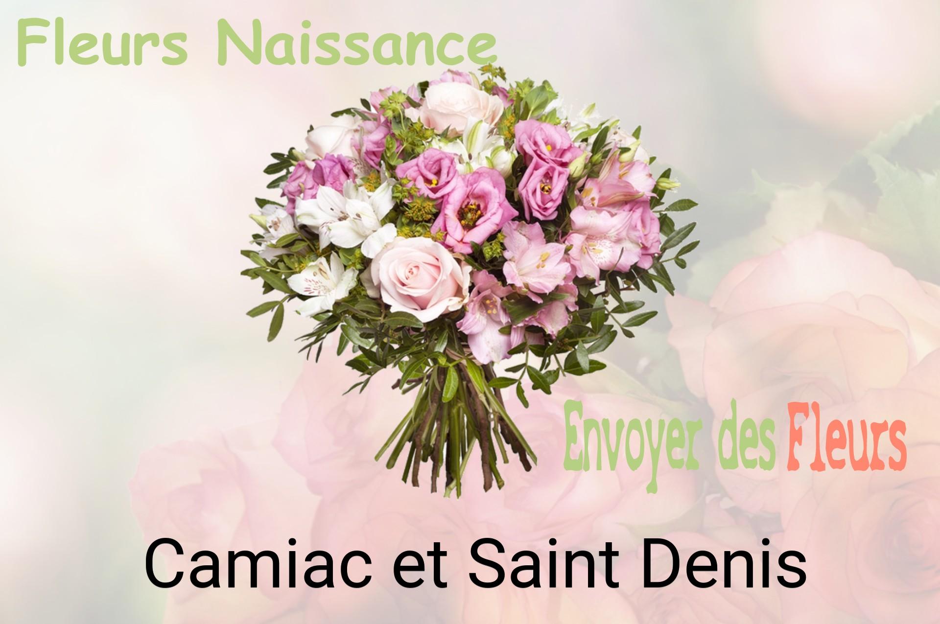 Bouquet de fleurs de naissance livré à Camiac-et-Saint-Denis